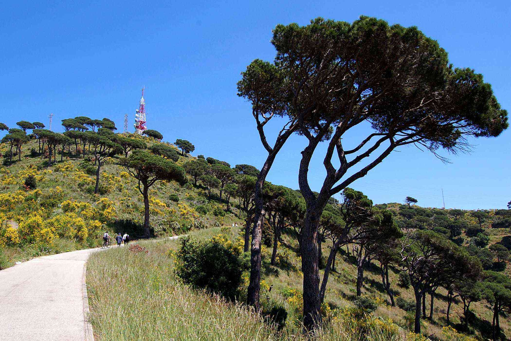 25 Carrer de les Aigues