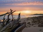 A winter sunset along Santa Barbara's Butterfly beach.; 