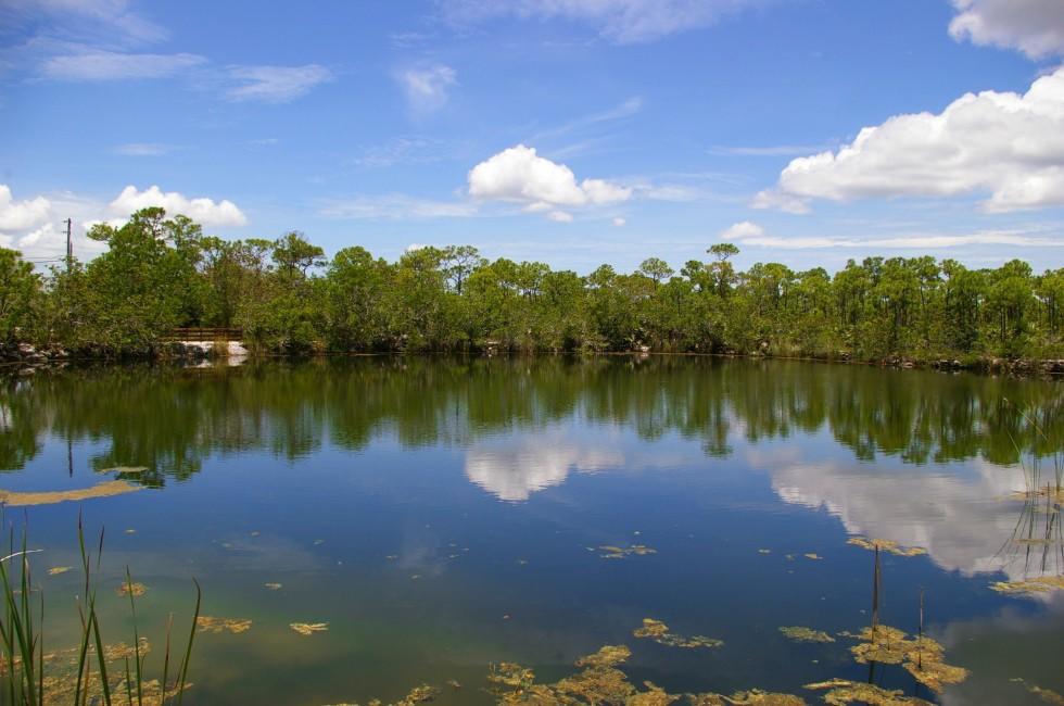 Oasis in the middle of Big Pine Key.