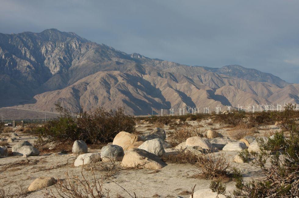desert scene