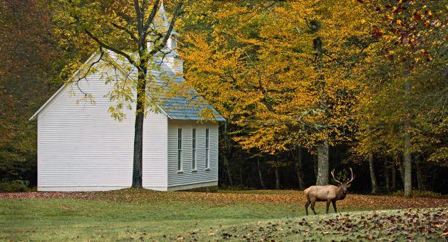 Essence of Autumn