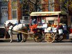 Produce Cart in West Baltimore