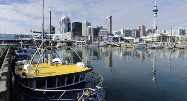 AUCKLAND - JUNE 02:Fishing boat in Auckland Viaduct Harbor Basin on June 02 2013.It's a former commercial harbor turned into a development of mostly upscale apartments, office space and restaurants. 