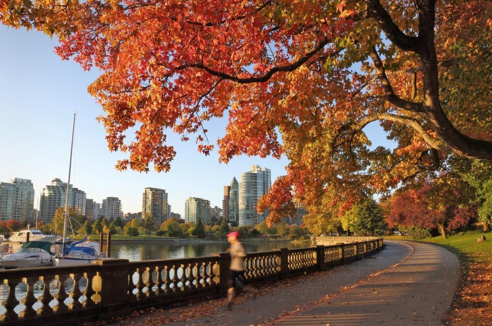 Autumn Run, Stanley Park Seawall, Vancouver. An early morning jogger on the Stanley Park Seawall in autumn. Vancouver, British Columbia, Canada. ; 