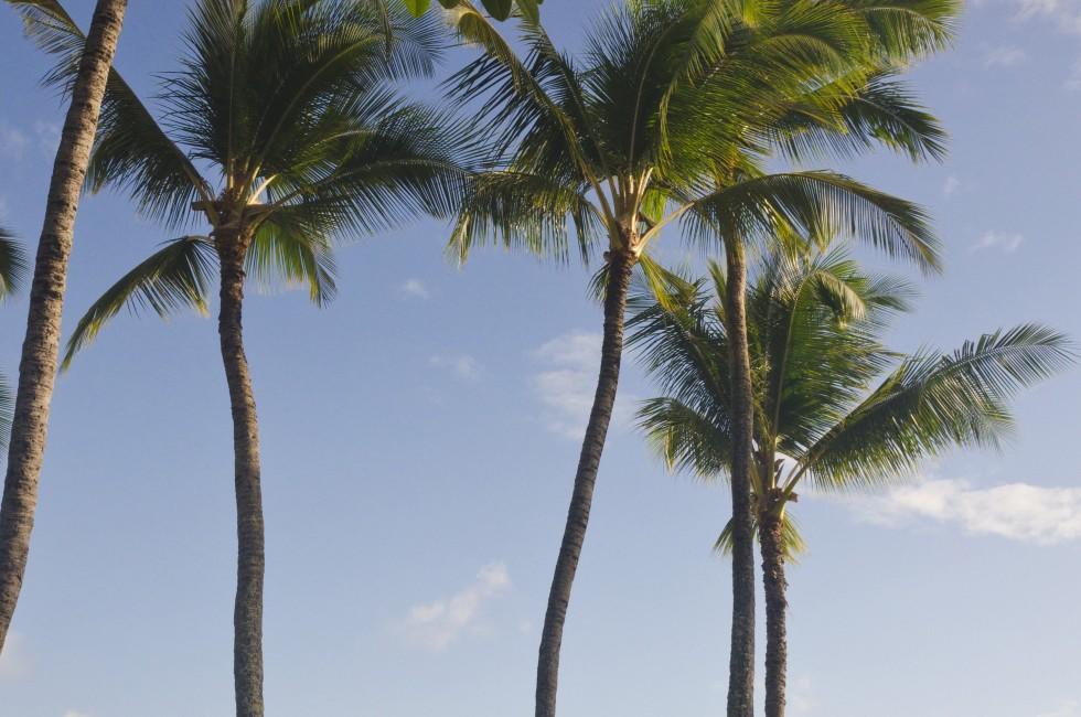 Nawiliwili beach in Kauai, Hawaii; 
