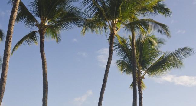 Nawiliwili beach in Kauai, Hawaii; 