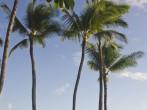 Nawiliwili beach in Kauai, Hawaii; 