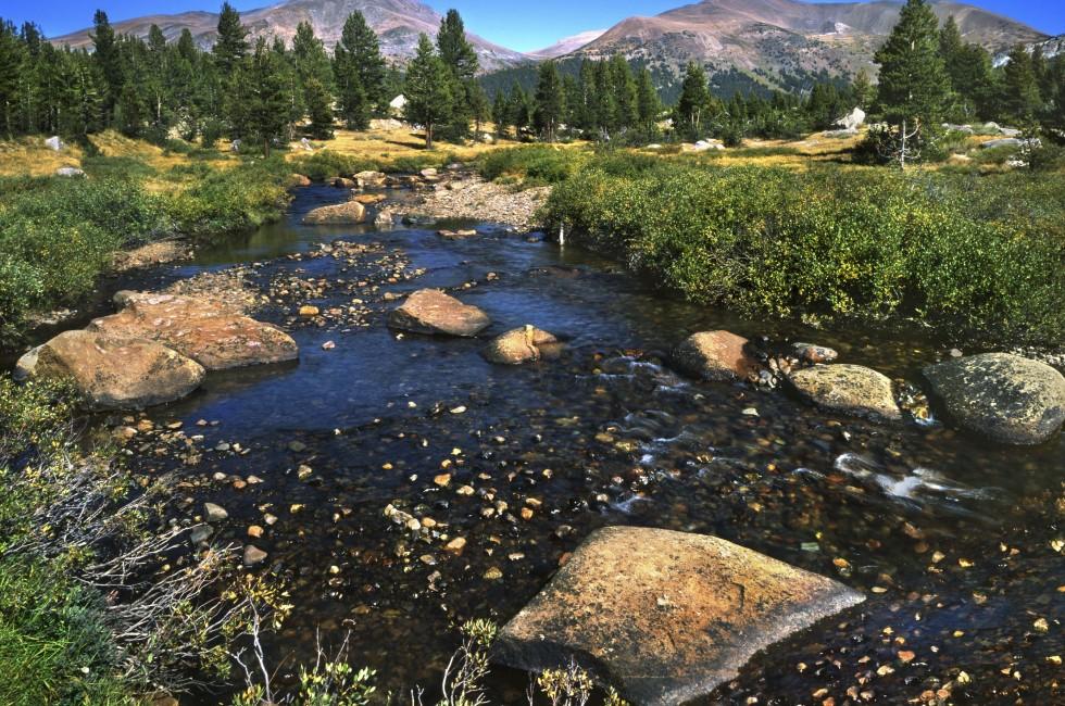 Tuolumne Meadows, Yosemite National Park, California; 