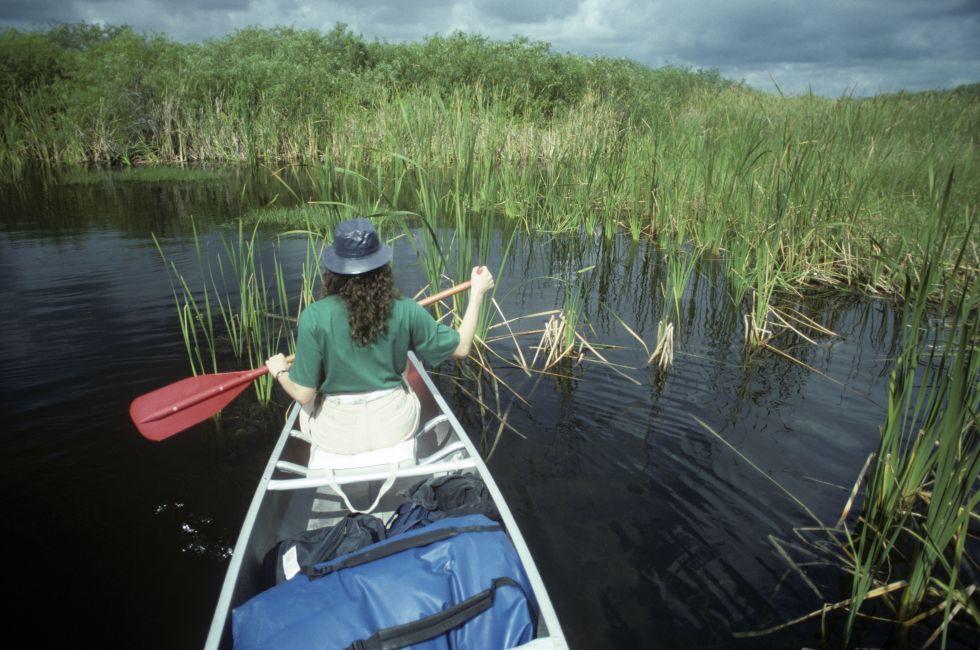 Everglades, Florida