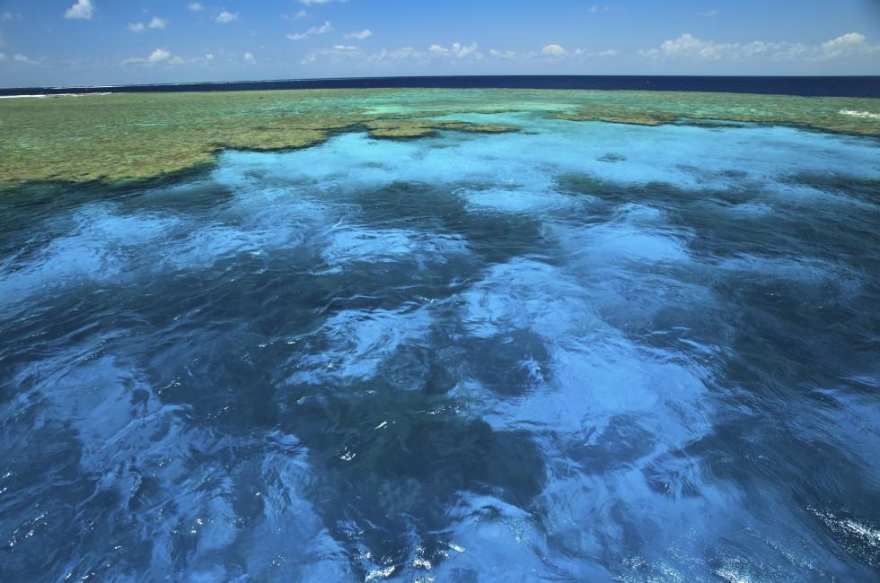 Clam Gardens at the Great Barrier Reef Marine Park; Shutterstock ID 41496544; Project/Title: Photo Database Top 200