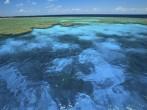 Clam Gardens at the Great Barrier Reef Marine Park; Shutterstock ID 41496544; Project/Title: Photo Database Top 200