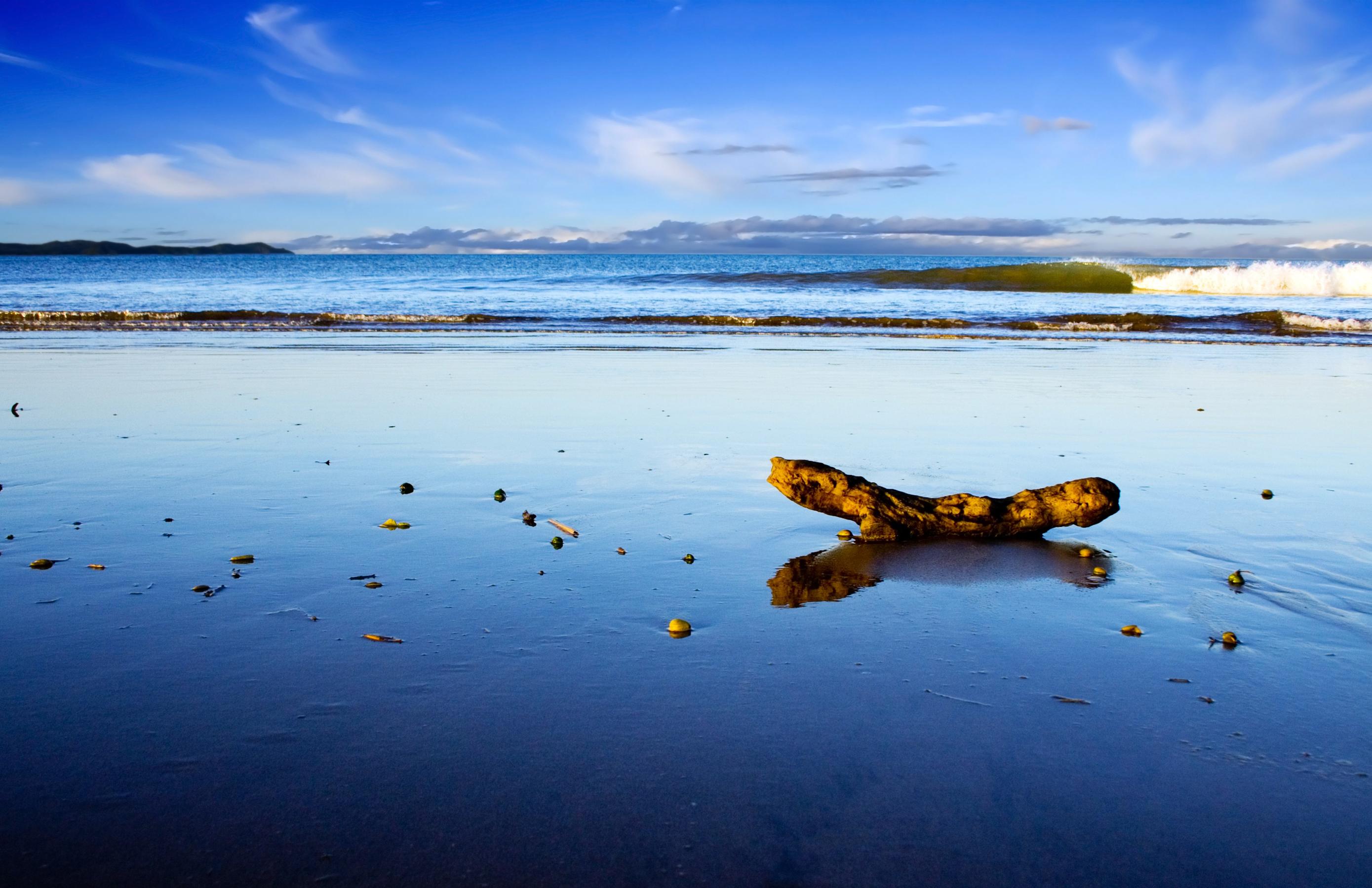 Northland and the Bay of Islands