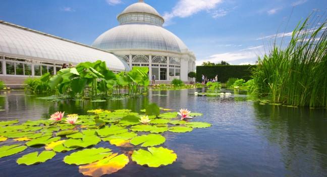 Water Lilly Pond at conservatory in New York Botanical Garden in the Bronx, NYC on June 1, 2012. The Victorian greenhouse is an architectural centerpiece at this 250 acre garden.