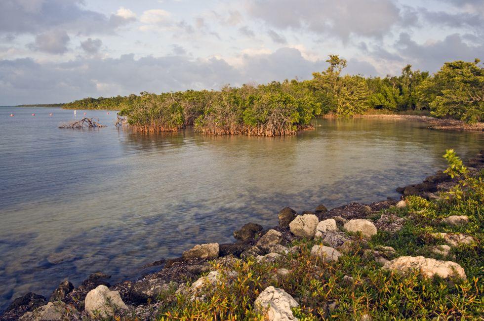 Biscayne National Park during sunset