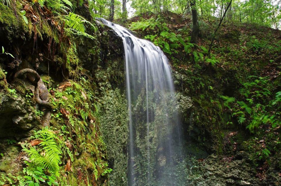 Falling Waters State Park in Northern Florida; 