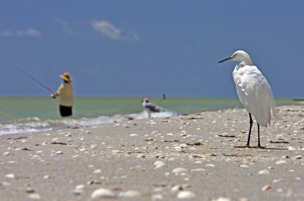 Sanibel Island