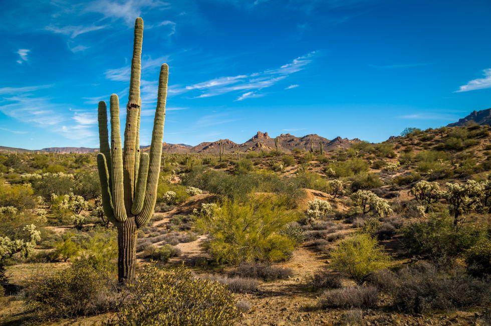 The amazing Superstition Mountains of Arizona.