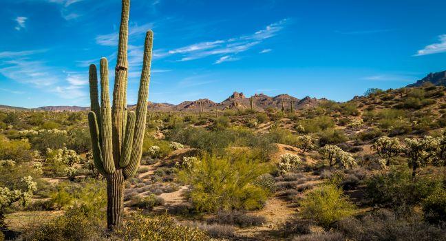 The amazing Superstition Mountains of Arizona.