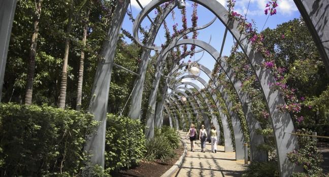 Garden boardwalk along Southbank in Brisbane, Australia; 
