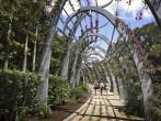 Garden boardwalk along Southbank in Brisbane, Australia; 