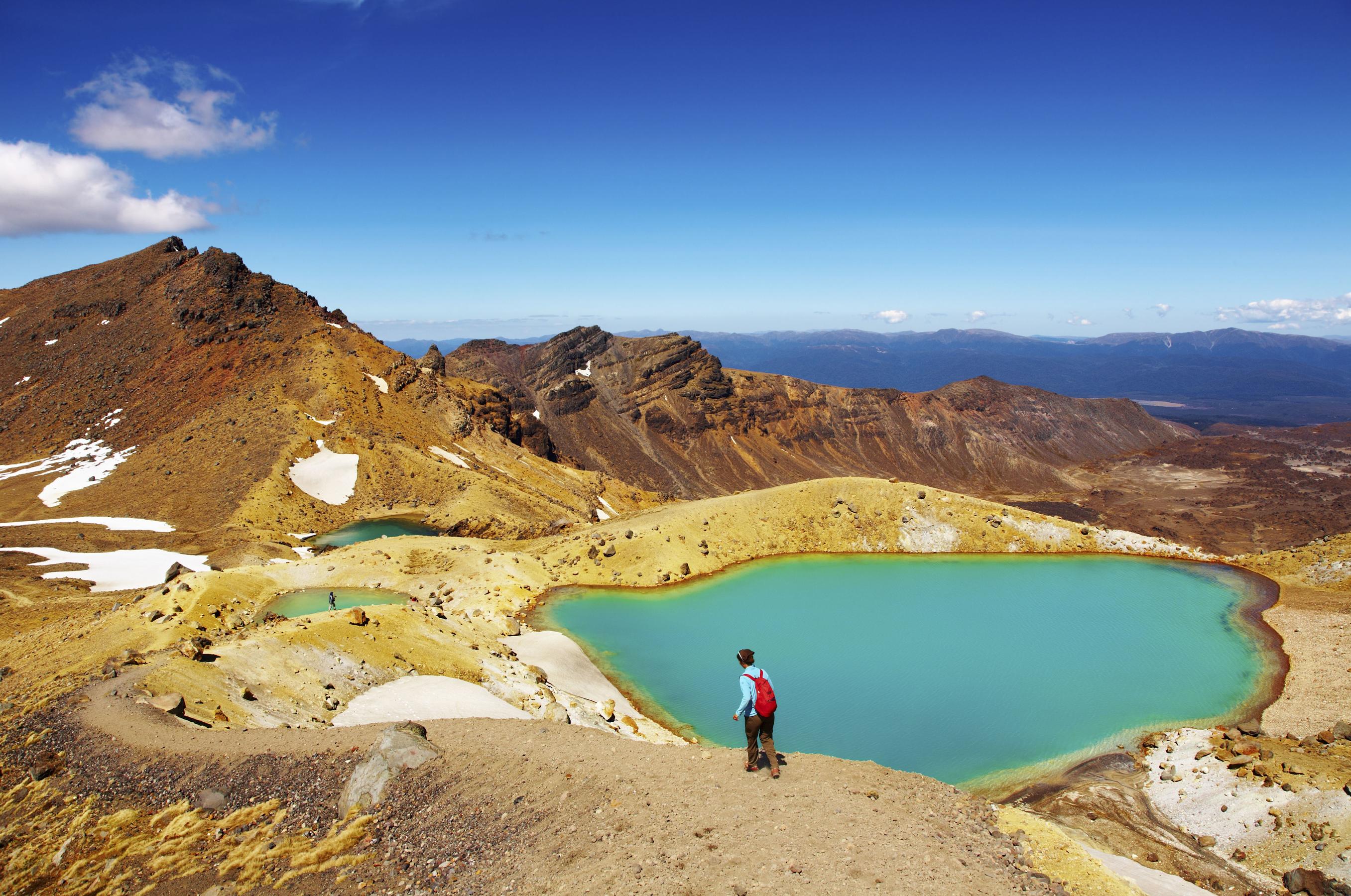 East Coast and the Volcanic Zone