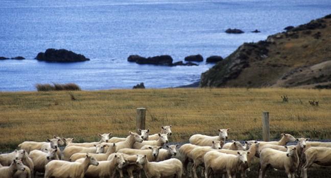 Wainuiomata, New Zealand