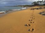 Footprints On The Beach, Kepuhi Beach Molokai Hawaii.