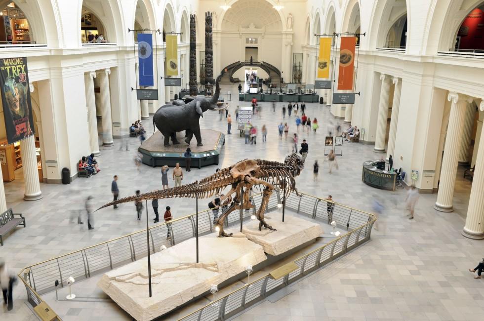 CHICAGO, IL – MARCH 23: Field Museum of Natural History on March 23, 2012 in Chicago, Illinois