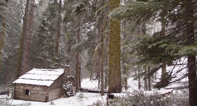 Gamlin Cabin, Kings Canyon national park, California; 