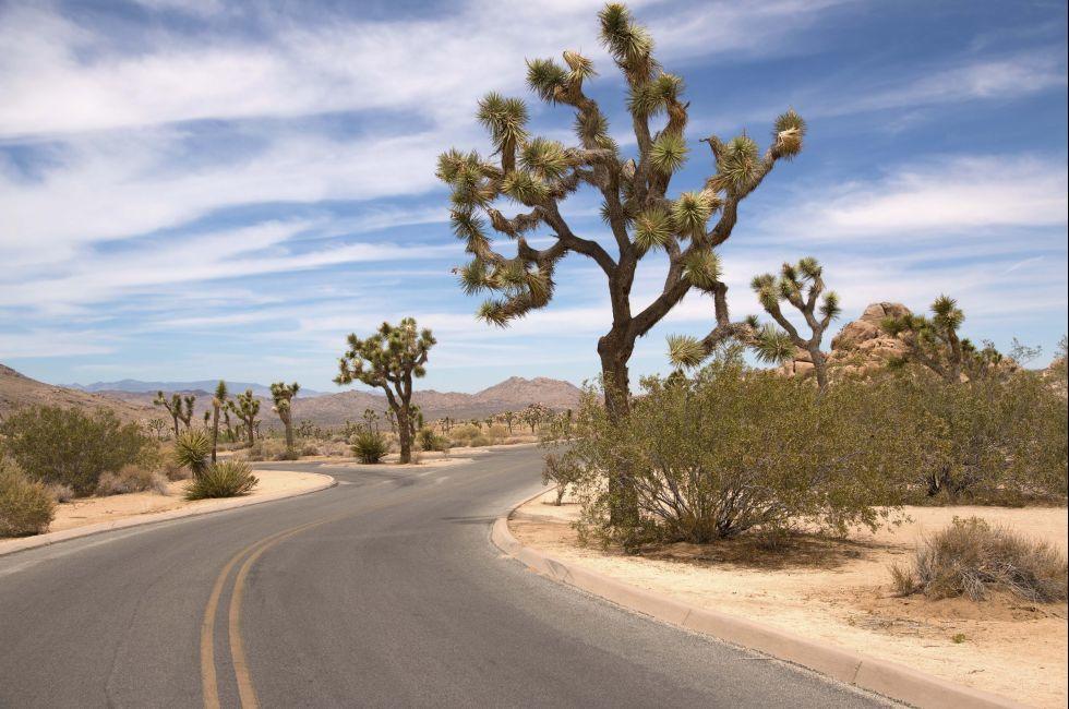 Scenic road through Joshua Tree National Park, California, USA
