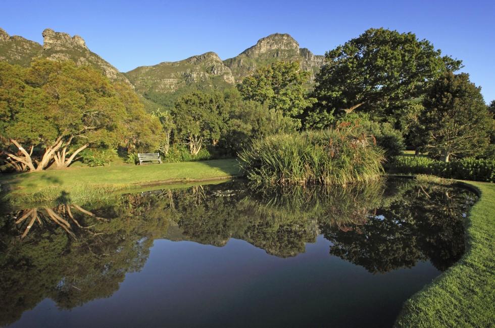 Pond in Kirstenbosch Botanical Garden, suburb of Cape Town, Western Cape, South Africa.