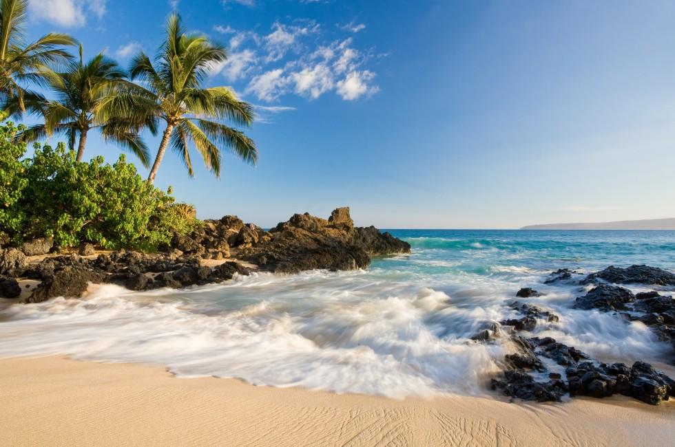 Tropical beach in makena cove with palm tree and waves in south maui, hawaii.