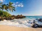 Tropical beach in makena cove with palm tree and waves in south maui, hawaii.
