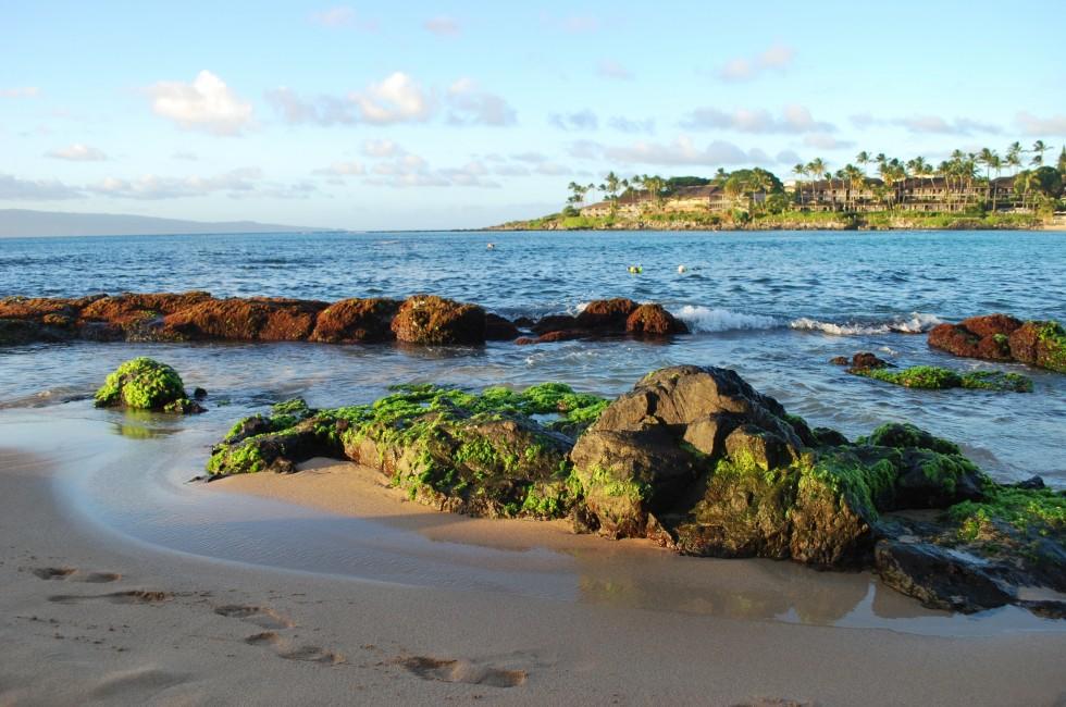 Maui beach, Napili Bay moss covered rocks, ocean view.
