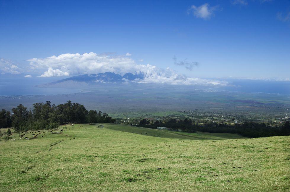 Landscape of Poli-Poli, Upcountry Maui, Hawaii, USA.