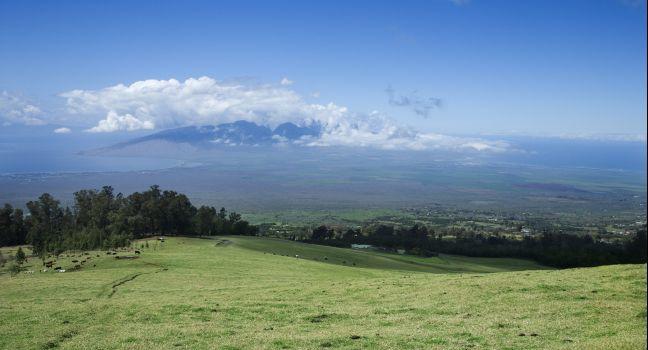 Landscape of Poli-Poli, Upcountry Maui, Hawaii, USA.