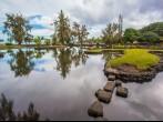 Japanese garden in Hilo, Hawaii.