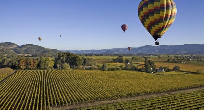 Hot-air Balloons over Vineyards, Napa and Sonoma, California, USA