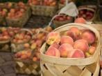 Peaches for sale at the market.