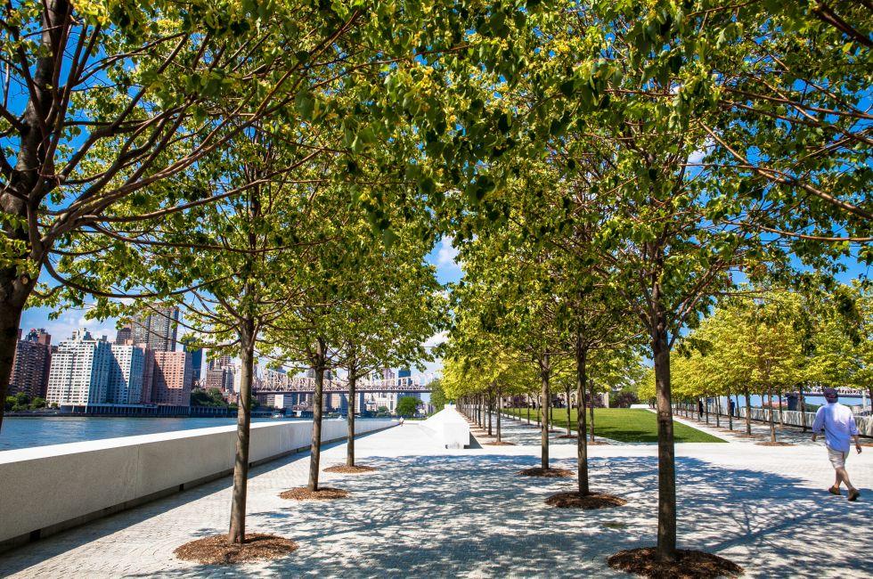 Tree lined riverwalk on Roosevelt Island.