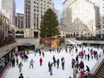 NEW YORK CITY - December 17: People enjoying Rockefeller Center Ice Skating at Christmas with the famous Christmas tree on December 17th, 2011 in New York City, New York.; Shutterstock ID 94127374; Project/Title: Fodors.com Slideshow; Destination: New York