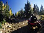 north of Red River, NM in the Carson National Forest.