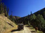 north of Red River, NM in the Carson National Forest.