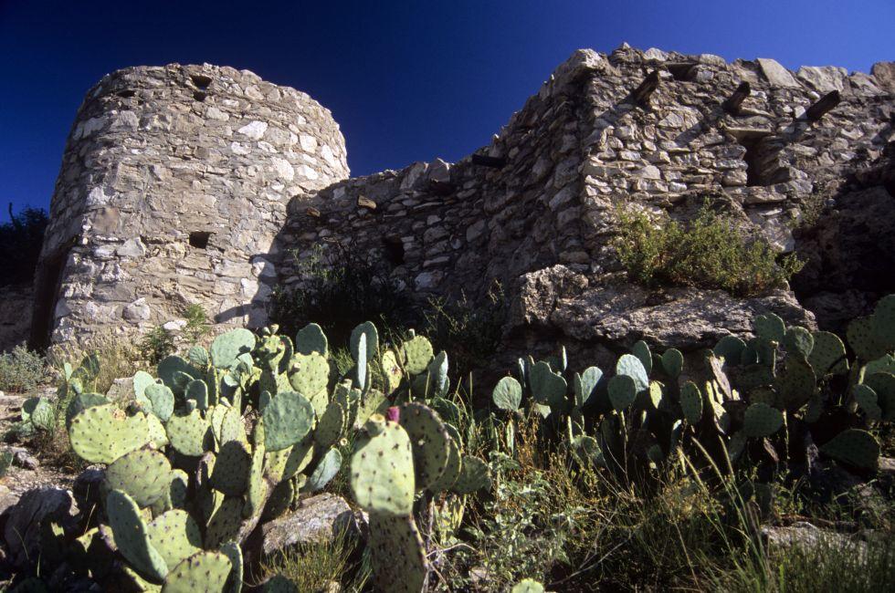 New Mexico