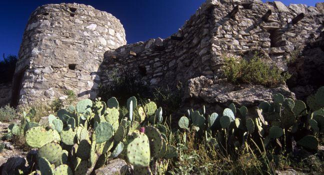 New Mexico
