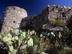 New Mexico
