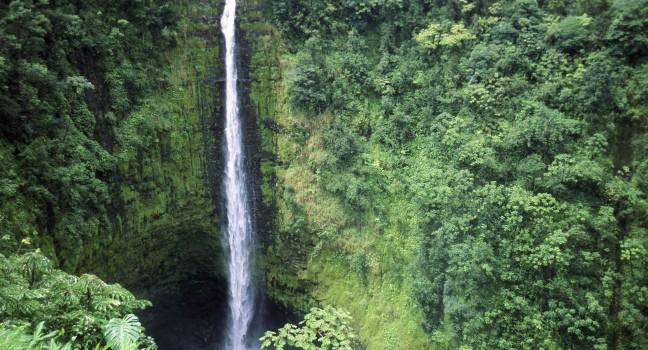 Akaka Falls State Park, Big Island, Hawaii
