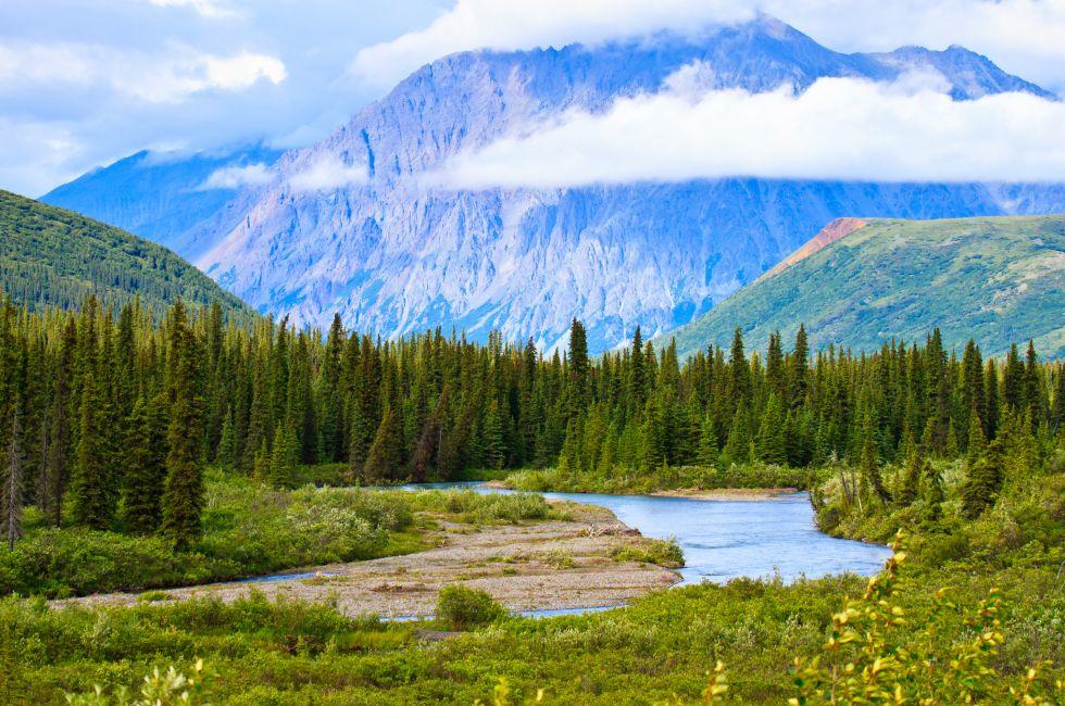Summer scenery in Denali National Park, Alaska USA.