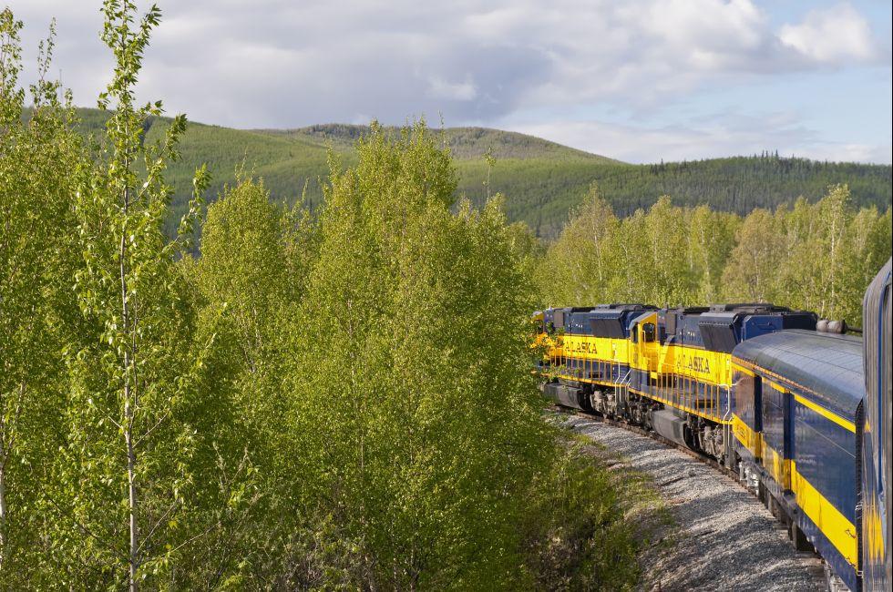 Side view of Denali Star train traveling through forest, Alaska, U.S.A.