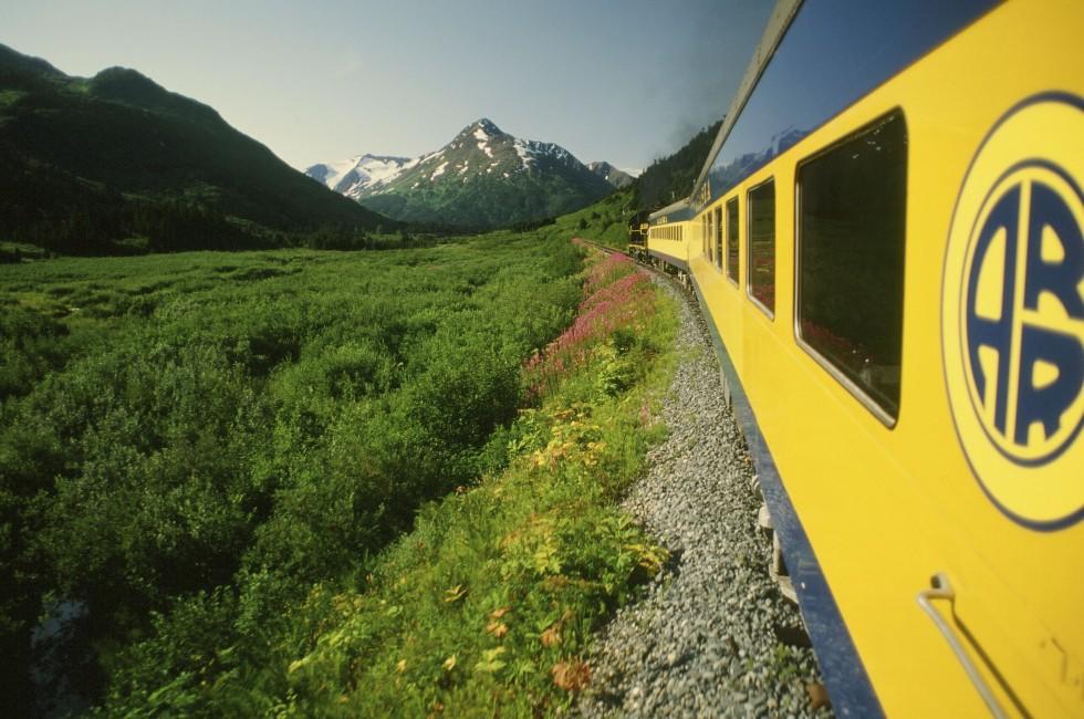 Train, Mountain, Denali National Park, Alaska, USA